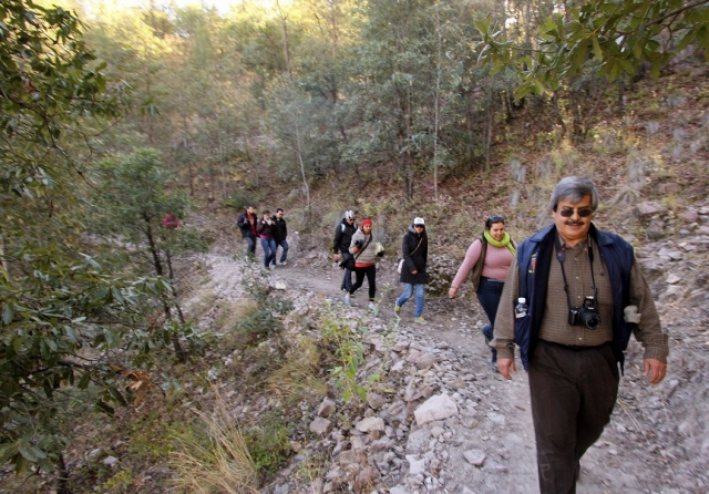 Guia de caminata